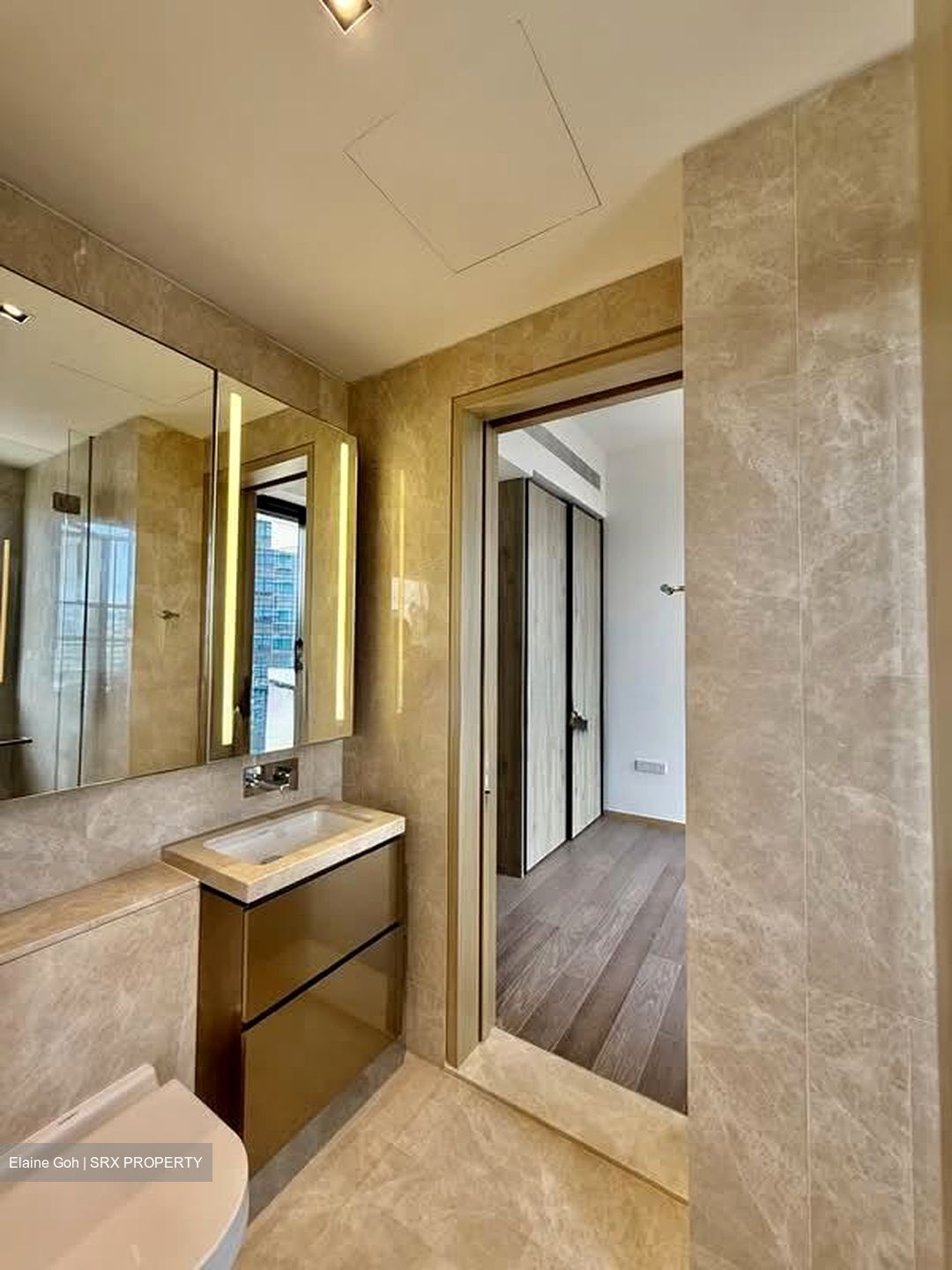 Klimt Cairnhill (D9), Apartment #535098781